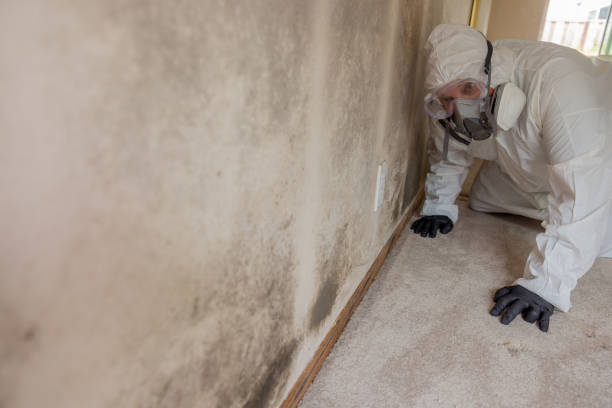 Best Residential Mold Inspection & Testing  in Port St John, FL